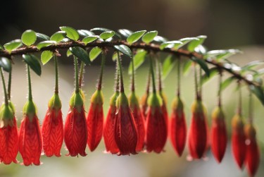 佛山三水区1私人快速借钱网，轻松解决资金难题