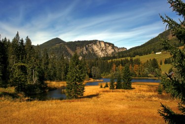 佛山三水区1民间私贷攻略：揭秘低成本借贷的秘密