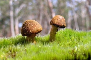 佛山三水区1私人老板放款：轻松融资的秘密通道